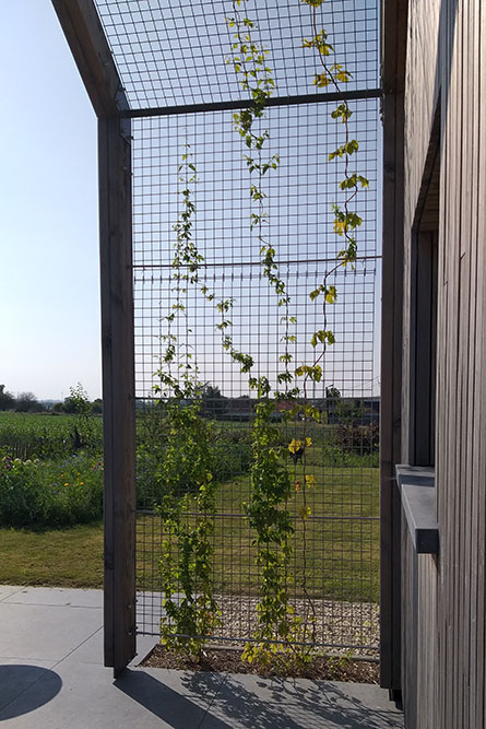 Rénovation d'une habitation à Vezon